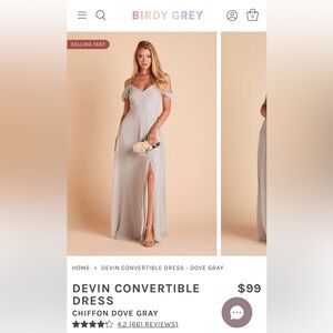 Birdy Grey Devin Convertible Dress in Chiffon Dove Gray